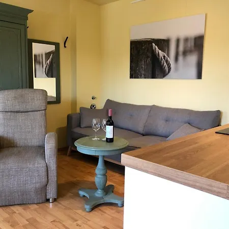 公寓 Fewo Anton Mit Balkon & Parkplatz 青斯特